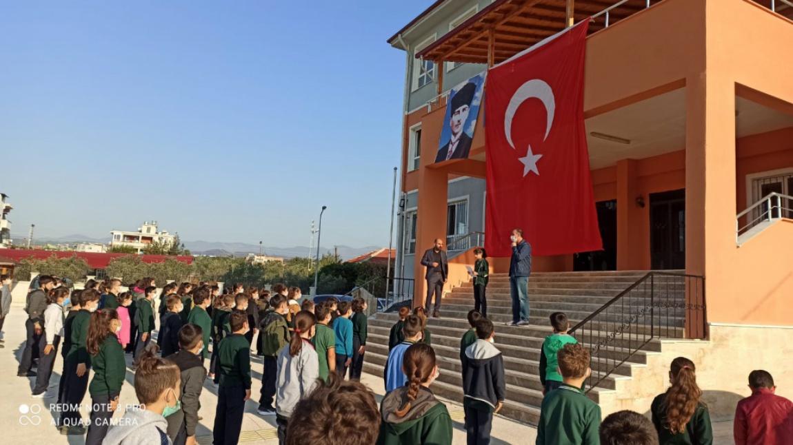 Tomruksuyu Atatürk Ortaokulu HATAY SAMANDAĞ