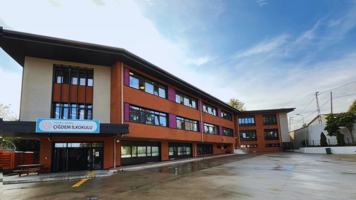 Çiğdem İlkokulu İSTANBUL BEYKOZ