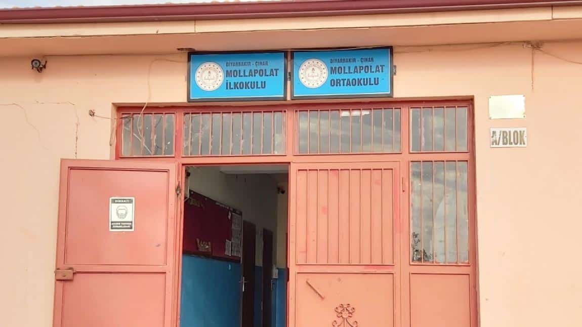 Mollapolat Ortaokulu DİYARBAKIR ÇINAR