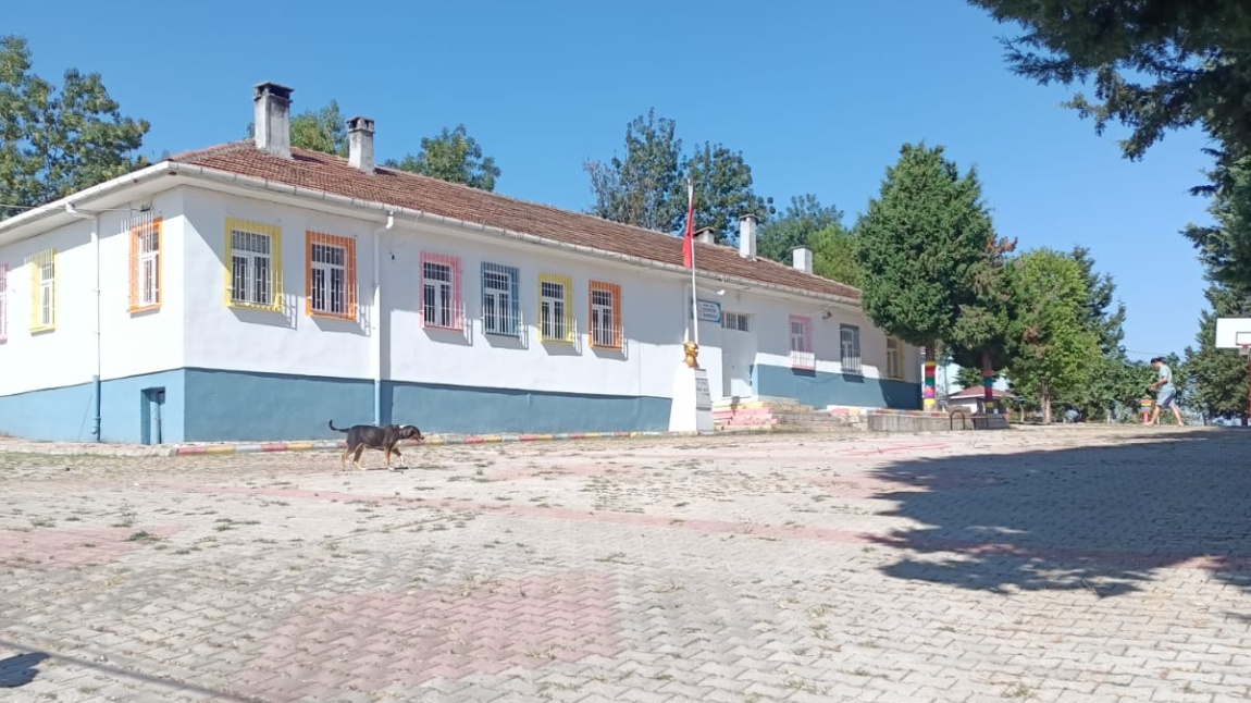 Düvecik İlkokulu SAMSUN CANİK