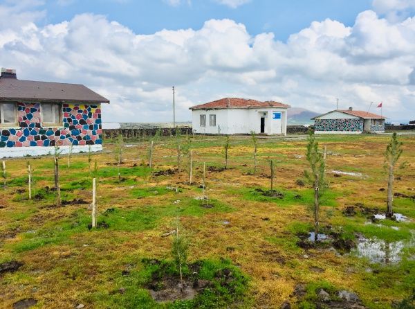 Halıören İlkokulu DİYARBAKIR ÇINAR