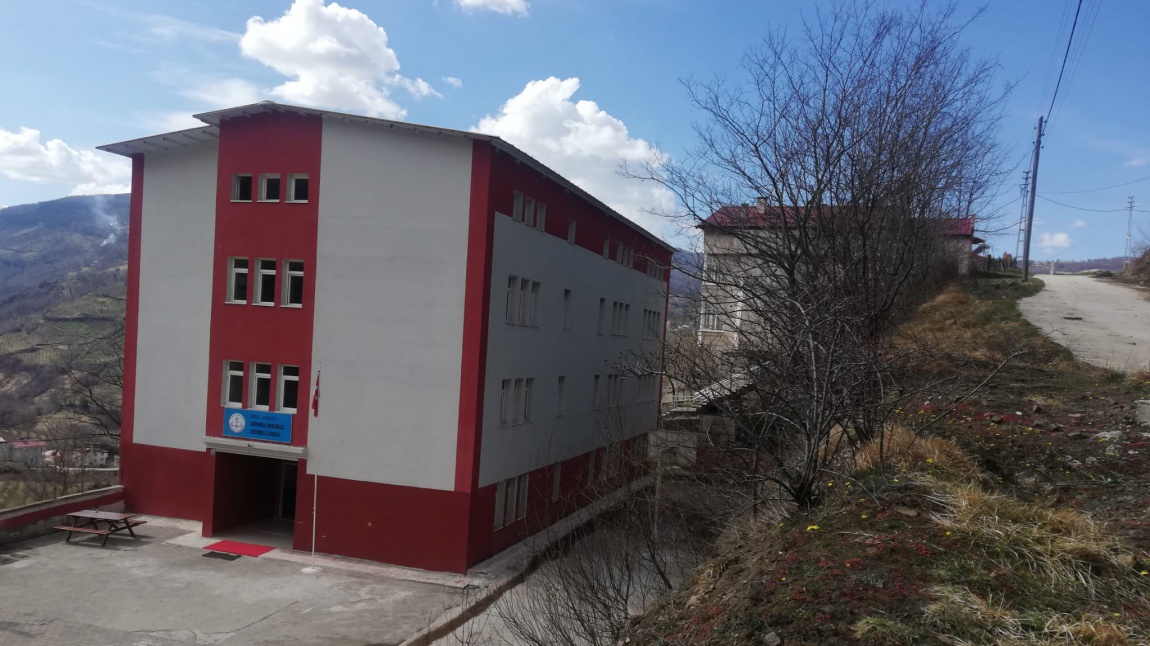 Zaferimilli İlkokulu ORDU AYBASTI