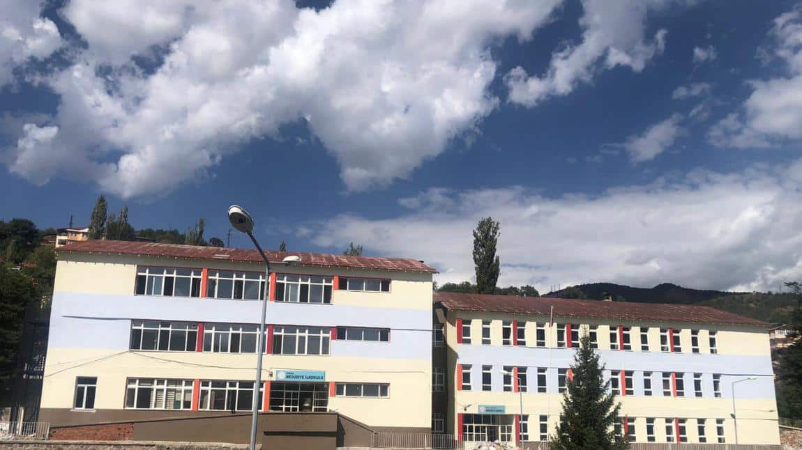 Mesudiye İlkokulu ORDU MESUDİYE