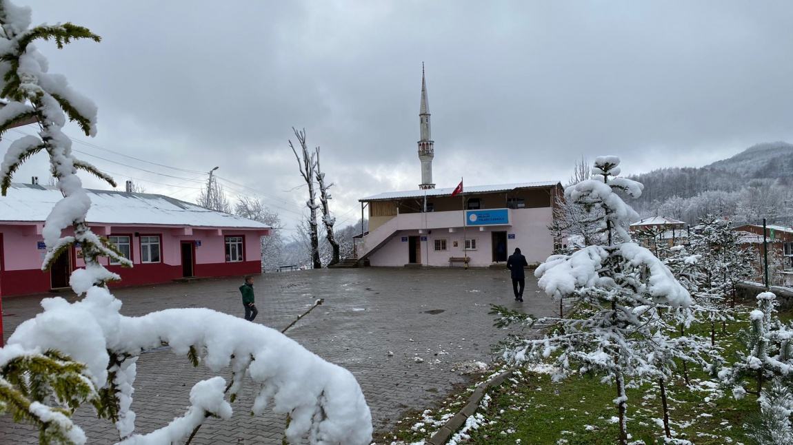 Belalan Yolağzı İlkokulu ORDU KORGAN