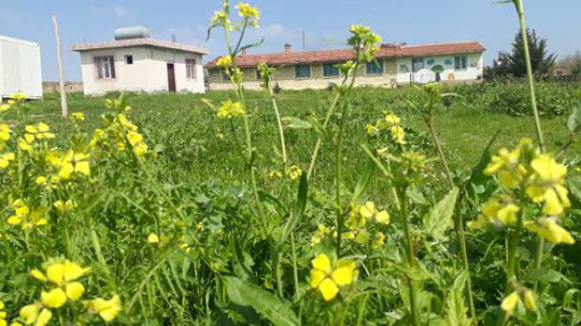 Alaca İlkokulu ŞANLIURFA CEYLANPINAR