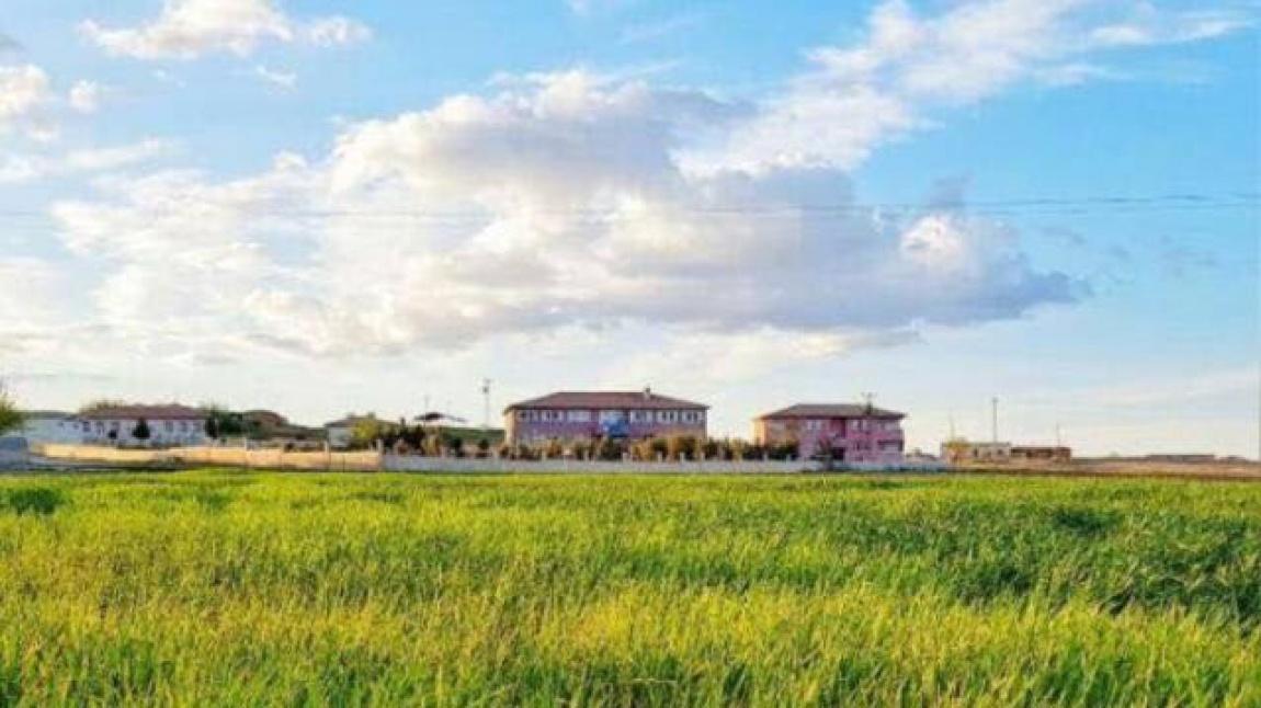 Büyük Taşlıca İlkokulu ŞANLIURFA HARRAN