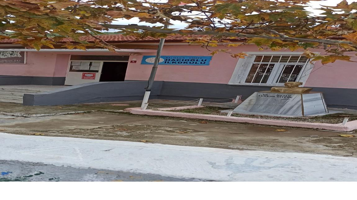 Hacıoğlu İlkokulu BALIKESİR GÖMEÇ