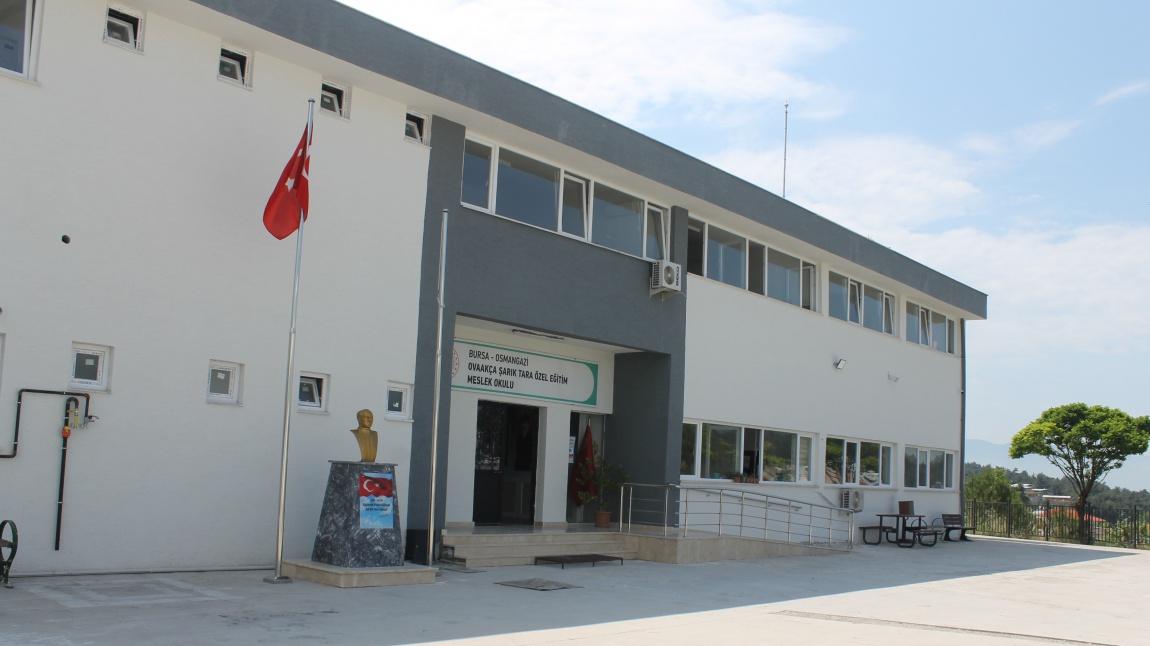 Ovaakça Şarık Tara Özel Eğitim Meslek Okulu BURSA OSMANGAZİ