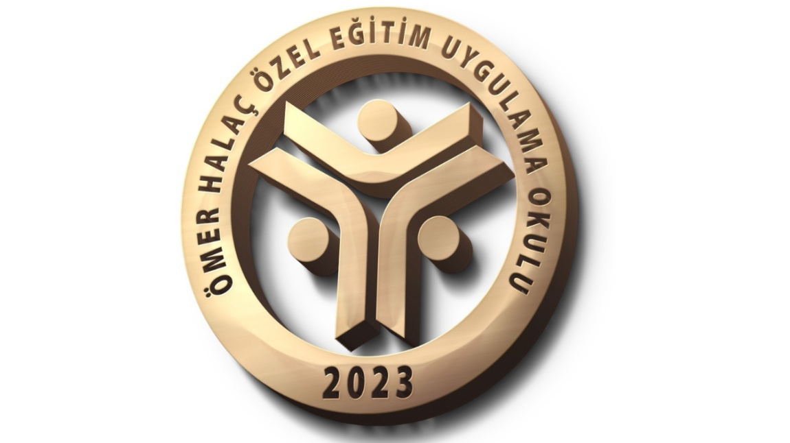 Ömer Halaç Özel Eğitim Uygulama Okulu I. Kademe İSTANBUL GAZİOSMANPAŞA