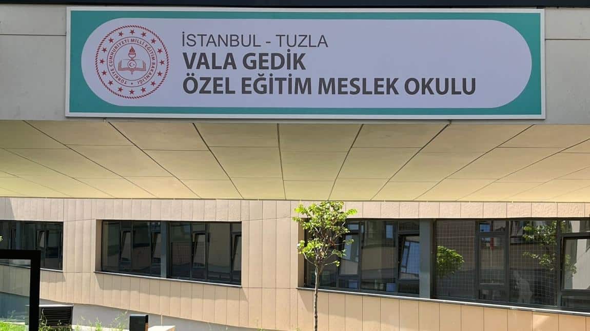 Vala Gedik Özel Eğitim Meslek Okulu İSTANBUL TUZLA