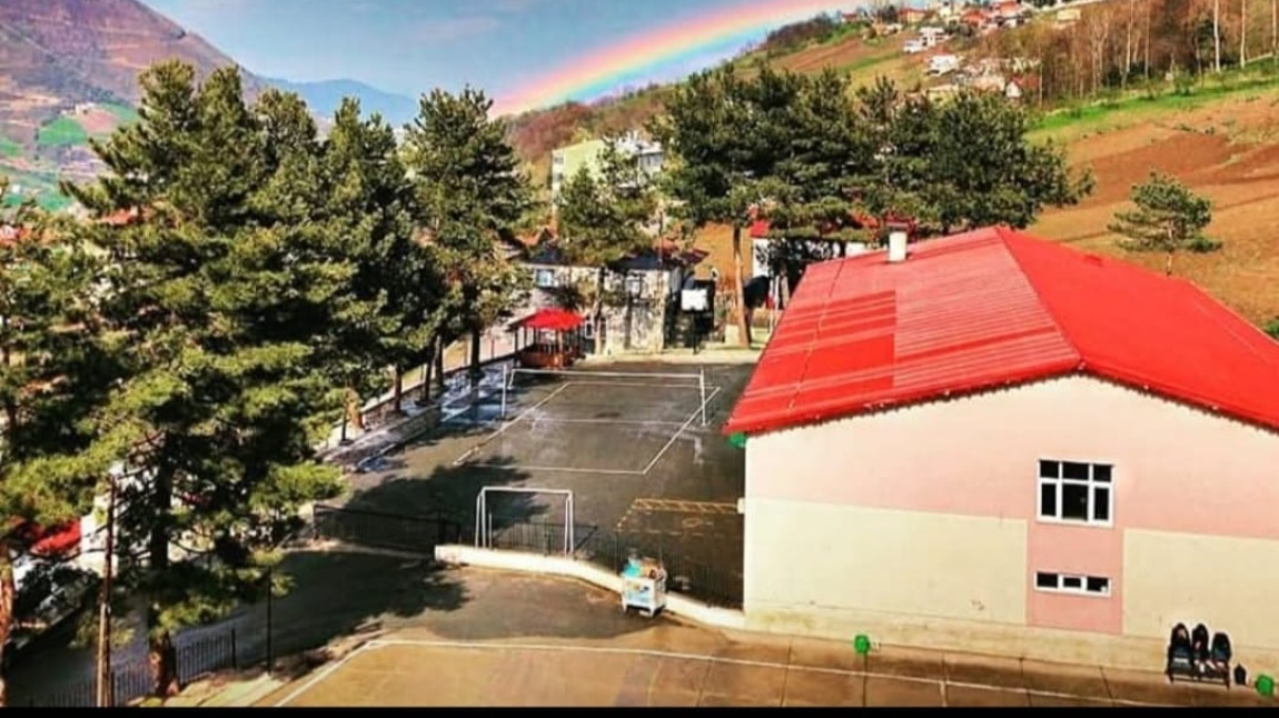 Düzköy Anadolu Lisesi TRABZON DÜZKÖY