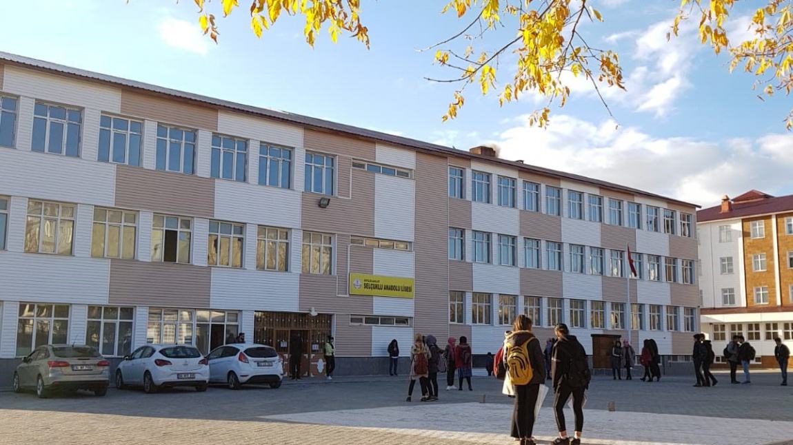 Ahlat Selçuklu Anadolu Lisesi BİTLİS AHLAT
