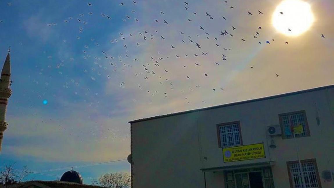 Hilvan Kız Anadolu İmam Hatip Lisesi ŞANLIURFA HİLVAN