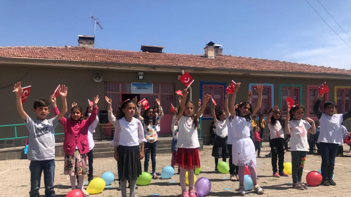 Çınar İlkokulu DİYARBAKIR ÇINAR