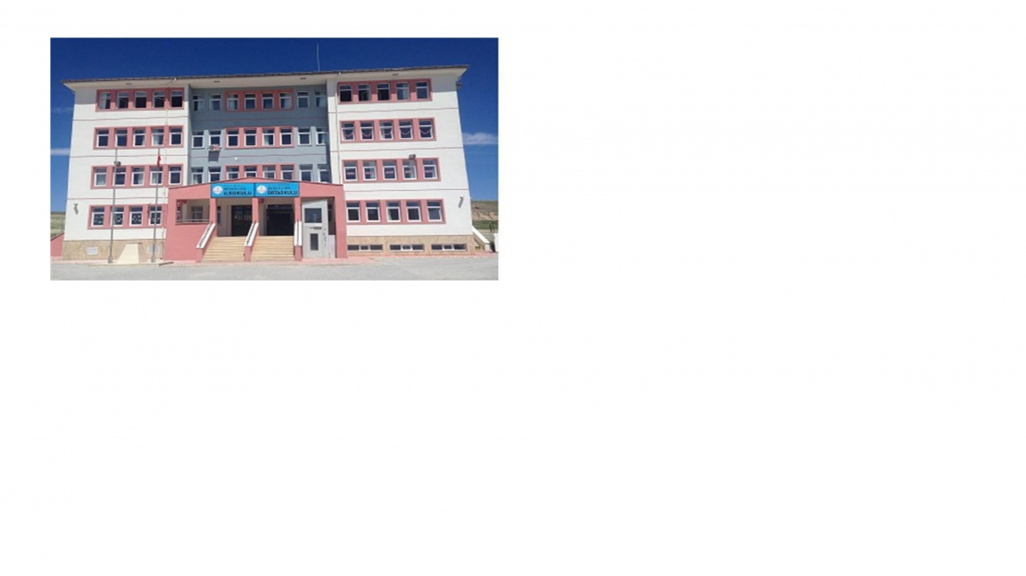 Orduzu Ata İlkokulu MALATYA BATTALGAZİ