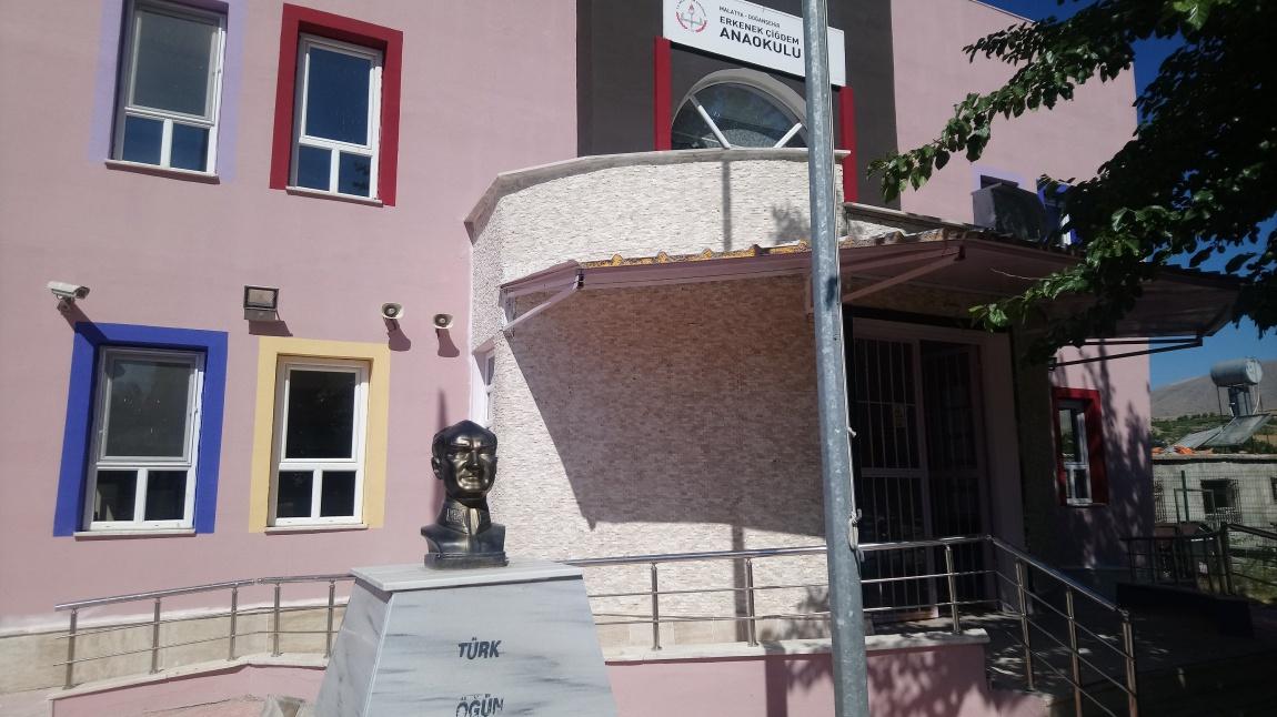 Erkenek Çiğdem Anaokulu MALATYA DOĞANŞEHİR