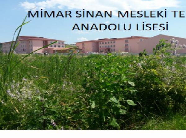 Mimar Sinan Mesleki ve Teknik Anadolu Lisesi SAMSUN BAFRA