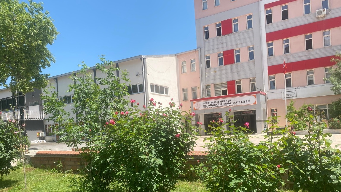 Şehit Halit Gülser Kız Anadolu İmam Hatip Lisesi DİYARBAKIR KAYAPINAR