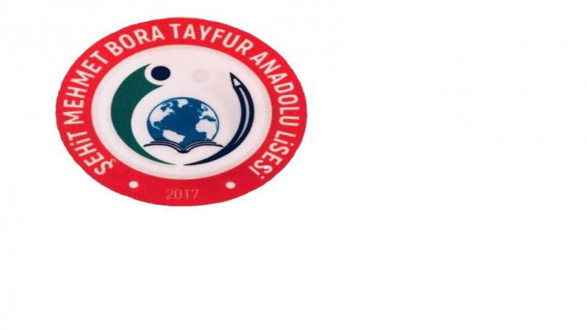 Şehit Mehmet Bora Tayfur Anadolu Lisesi DİYARBAKIR KAYAPINAR