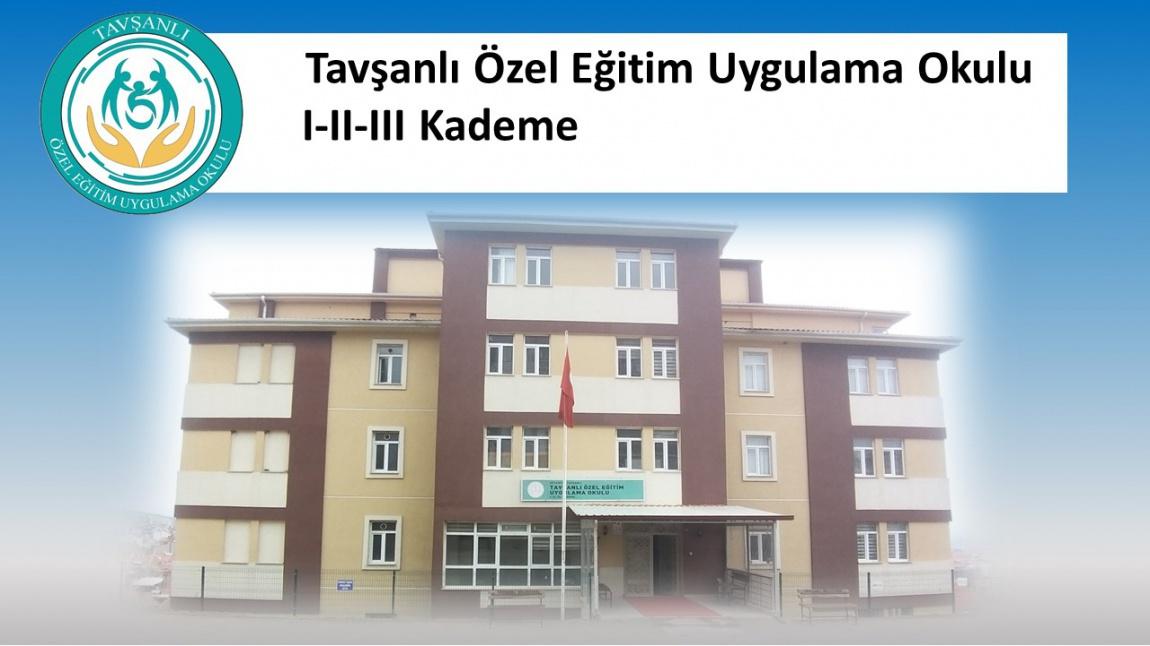 Tavşanlı Özel Eğitim Uygulama Okulu I. Kademe KÜTAHYA TAVŞANLI