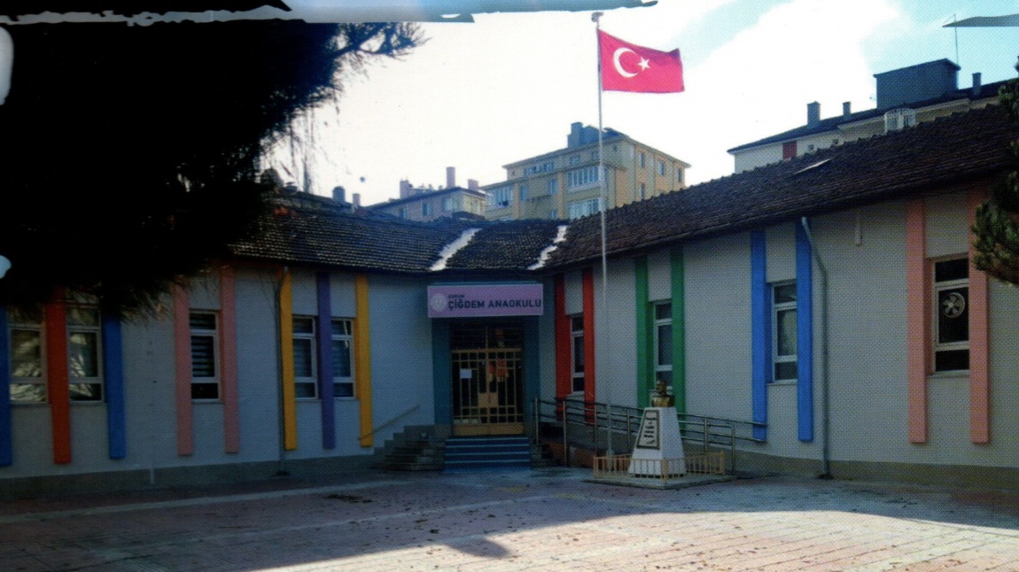 Çiğdem Anaokulu ÇORUM MERKEZ