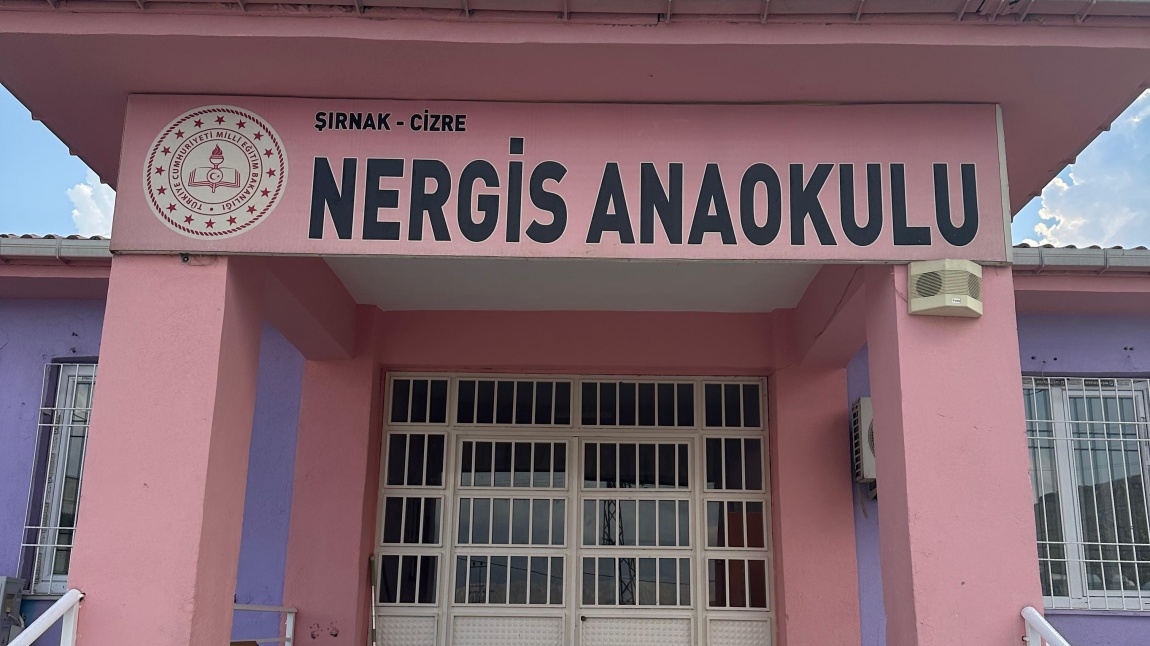 Nergis Anaokulu ŞIRNAK CİZRE