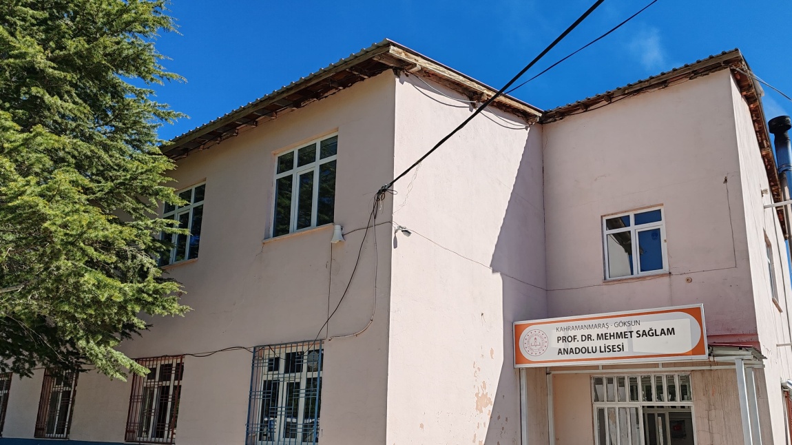 Ericek Prof. Dr. Mehmet Sağlam Anadolu Lisesi KAHRAMANMARAŞ GÖKSUN