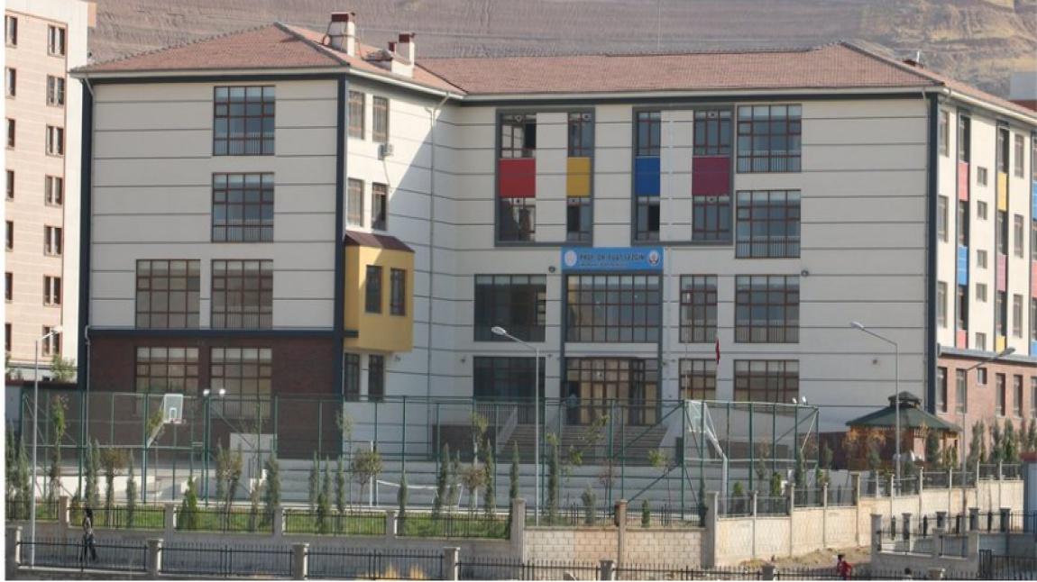 Prof. Dr. Fuat Sezgin İmam Hatip Ortaokulu ŞIRNAK CİZRE