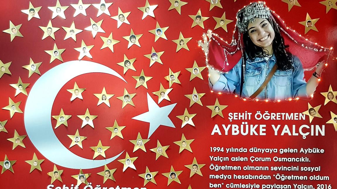 ŞEHİT ÖĞRETMEN AYBÜKE YALÇIN ANAOKULU ÇANAKKALE GELİBOLU