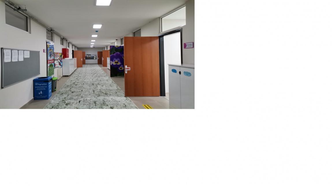 Erenler Özel Eğitim Anaokulu SAKARYA ERENLER