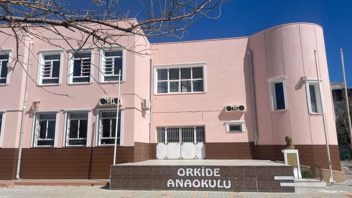 Orkide Anaokulu İZMİR BORNOVA