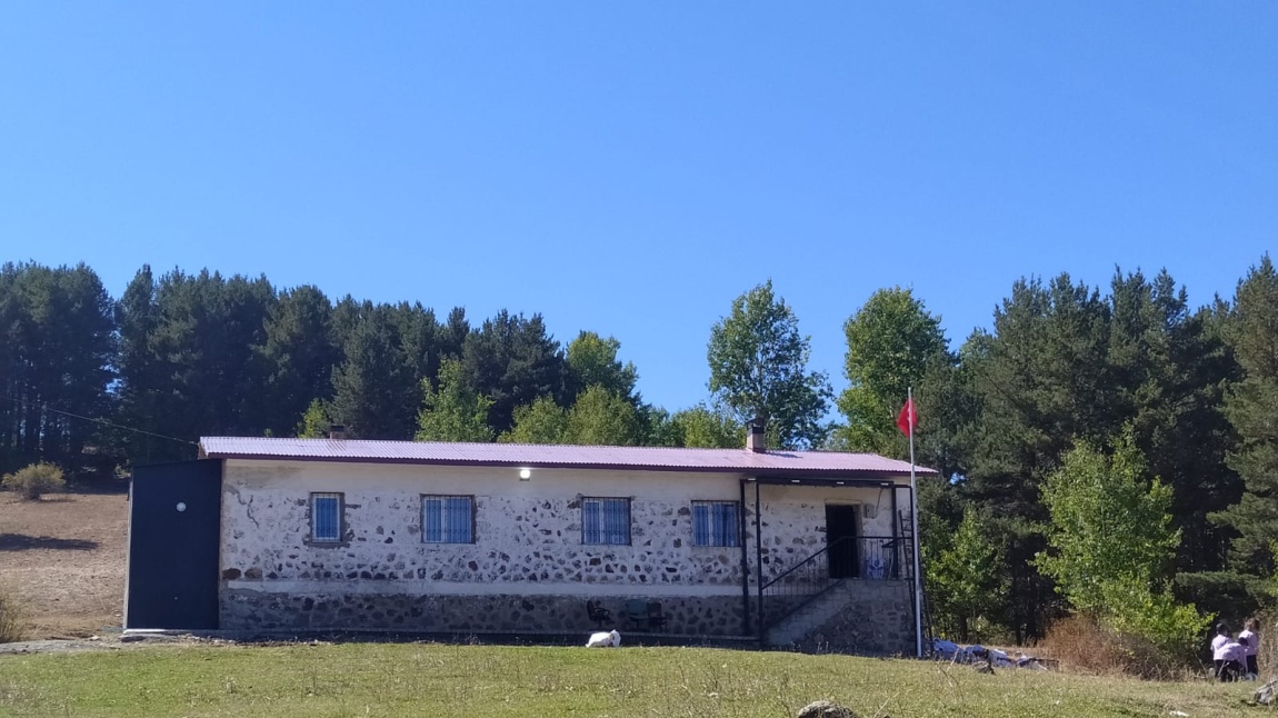 Çamlıyayla İlkokulu ERZURUM NARMAN