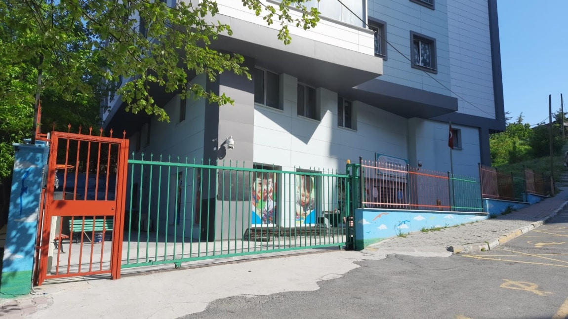 Akşemsettin Özel Eğitim Uygulama Okulu I. Kademe İSTANBUL ESENYURT