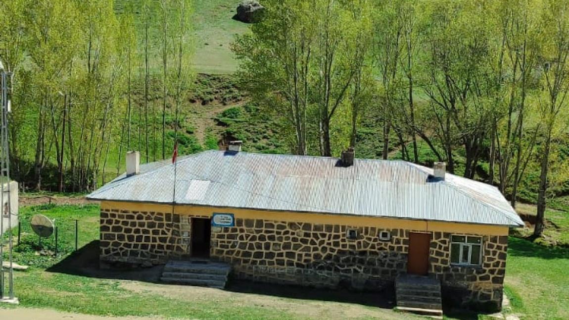 Güneysöğüt İlkokulu AĞRI TAŞLIÇAY