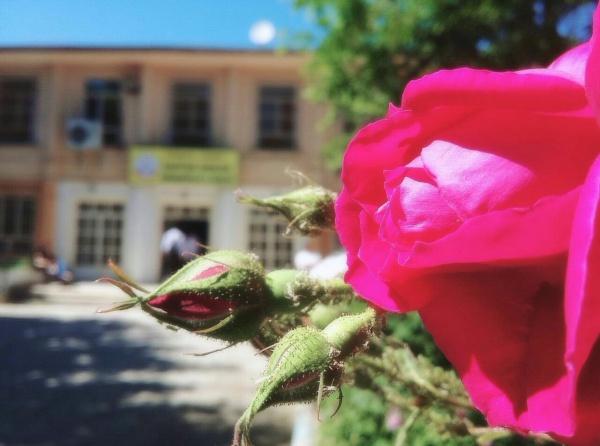Gaffar Okkan Anadolu Lisesi DİYARBAKIR YENİŞEHİR