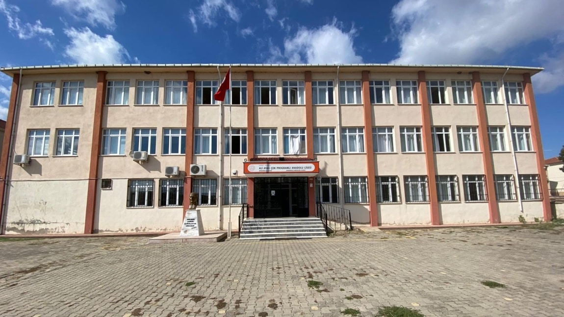 Ali Ayağ Çok Programlı Anadolu Lisesi EDİRNE SÜLOĞLU