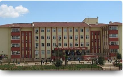 Dr.M. Feyyaz Etiz Anadolu Lisesi ADANA SEYHAN