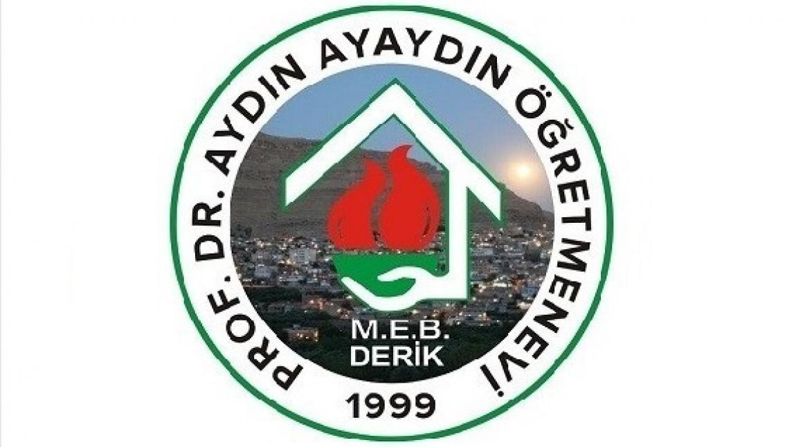 Derik Prof. Dr. Aydın Ayaydın Öğretmenevi ve Akşam Sanat Okulu MARDİN DERİK