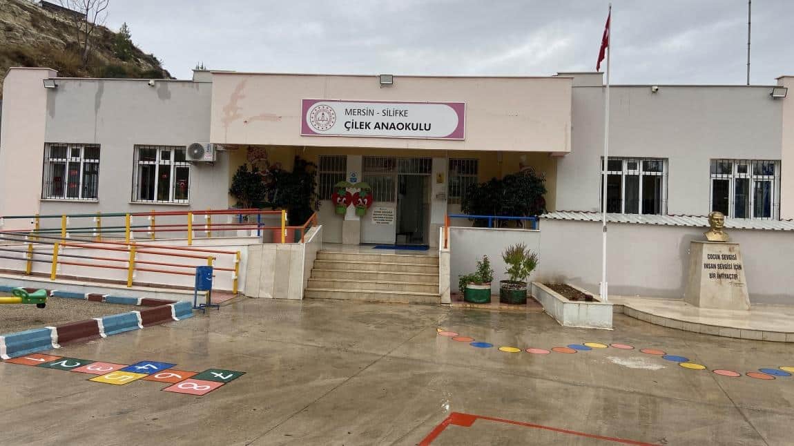 Çilek Anaokulu MERSİN SİLİFKE