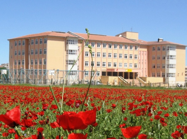 Borsa İstanbul Anadolu Lisesi MARDİN MİDYAT