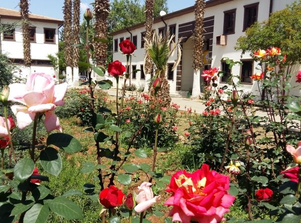 Altınbaşak Tarım Mesleki ve Teknik Anadolu Lisesi ŞANLIURFA AKÇAKALE