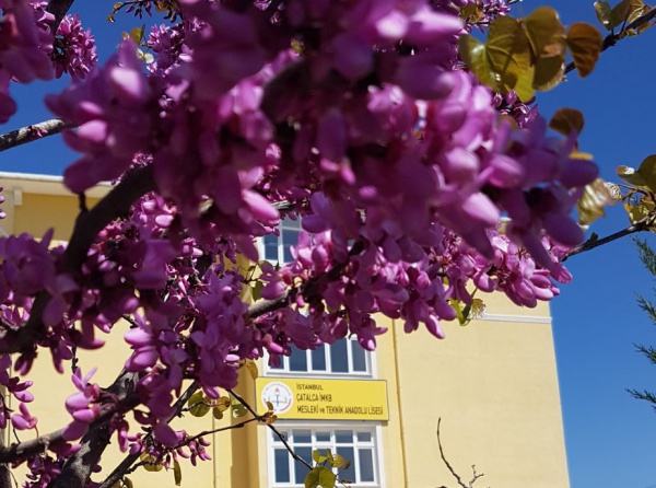 Çatalca Borsa İstanbul Kız Mesleki ve Teknik Anadolu Lisesi İSTANBUL ÇATALCA